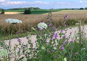 Ranspach le Haut