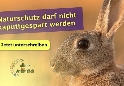 Petition - weitere Förderung für dringende Arten-und Biotopschutzmassnahmen in Baden-Württemberg