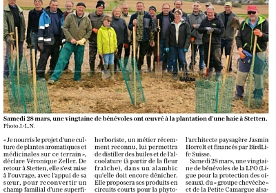Die 30. Hecke wurde in F-Stetten gepflanzt!