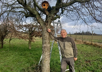 Zwei neue Steinkauzbrutröhren an einem geeigneten Standort im Elsass, wo wir zusätzlich auch Hecken und Einzelbäume pflanzen