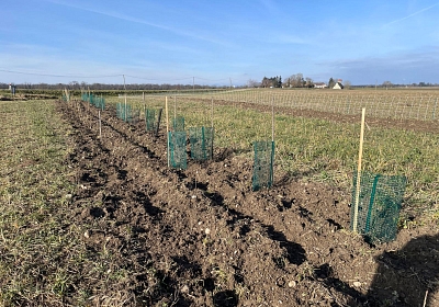 Die erste Heckenpflanzung 2026 in F-68490 Petit-Landau, Ferme Ysengrain