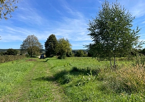Obstbaumpflanzung 5<br>(10 Hochstämme)<br>F-68480-Bouxwiller<br>Jardin Cassiopé, 2025