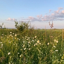 Ranspach le Haut