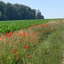 Ranspach le Haut