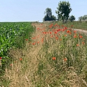 Ranspach le Haut