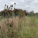 Ranspach le Haut