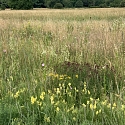 Ranspach le Haut