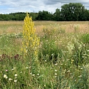 Ranspach le Haut