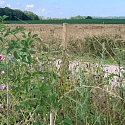 Ranspach le Haut