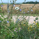 Ranspach le Haut