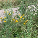Ranspach le Haut