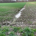 Anlage von Laichtümpeln und Kleingewässern für Amphibien