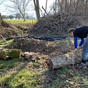 Anlage von Laichtümpeln und Kleingewässern für Amphibien