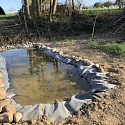 Anlage von Laichtümpeln und Kleingewässern für Amphibien