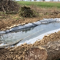 Anlage von Laichtümpeln und Kleingewässern für Amphibien