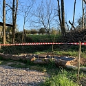 Anlage von Laichtümpeln und Kleingewässern für Amphibien