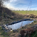 Anlage von Laichtümpeln und Kleingewässern für Amphibien