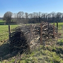 Kurze Benjeshecke zwischen Feldern im Elsass 2025 -- Foto: H. Spinnhirny
