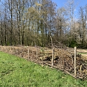 Kurze Benjeshecke zwischen Feldern im Elsass 2025 -- Foto: H. Spinnhirny