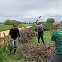Kurze Benjeshecke zwischen Feldern im Elsass 2025 -- Foto: H. Spinnhirny