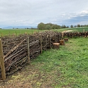 Kurze Benjeshecke zwischen Feldern im Elsass 2025 -- Foto: H. Spinnhirny