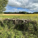 Kurze Benjeshecke zwischen Feldern im Elsass 2025 -- Foto: H. Spinnhirny
