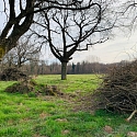 Kurze Benjeshecke zwischen Feldern im Elsass 2025 -- Foto: H. Spinnhirny