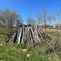 Kurze Benjeshecke zwischen Feldern im Elsass 2025 -- Foto: H. Spinnhirny