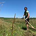 Extensivierung von Wiesen und Umwandlung in artenreiche Blühwiesen
