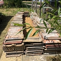 Steinhaufen & Trockenmauern als Unterschlupf für Reptilien, Amphibien und Kleinsäuger