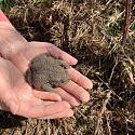 Steinhaufen & Trockenmauern als Unterschlupf für Reptilien, Amphibien und Kleinsäuger