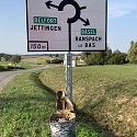 Sehr beliebte "Wegwerfartikel" bei Müllsündern: Getränkedosen in allen Farben und aller Marken