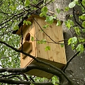 Steinkauzbrutröhre 
