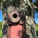 Steinkauzbrutröhre 