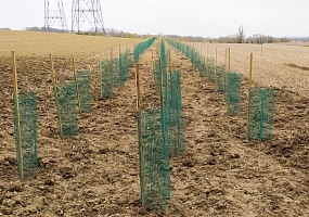 Heckenpflanzung 30 (300m) F-68510 Stetten<br>Jardin Aromatique Z., 2026