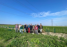 Heckenpflanzung 28 (210m)<br>F-68490 Petit-Landau<br>Ferme Y., 2026