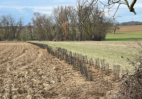 Heckenpflanzung 19 (260m)<br>F-68510 Helfrantzkirch<br>Fam. B., 2025