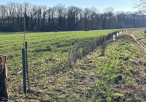 Heckenpflanzung 18 (120m)<br>F-68510 Helfrantzkirch<br> Ferme W., 2025