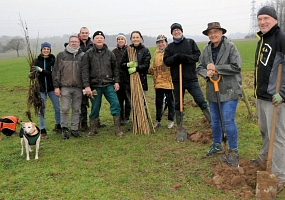 Heckenpflanzung 13 (200m)<br>F-68510 Waltenheim<br>Ferme B., 2024