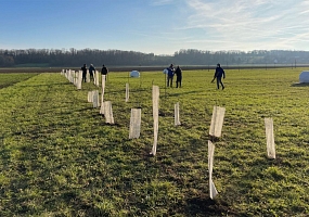 Heckenpflanzung 12 (70m)<br>F-68440 Schlierbach<br>Fam. K., 2024