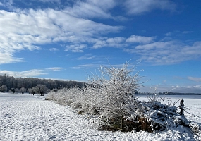 Heckenpflanzung 06 (60m)<br>F-68220 Ranspach le Haut, 2021