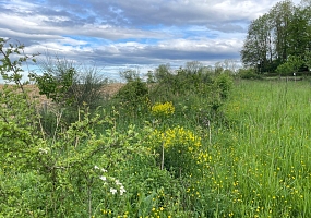 Heckenpflanzung 03 (110m)<br> F-68220 Ranspach le Haut, 2020