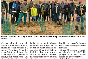 Die 30. Hecke wurde in F-Stetten gepflanzt!