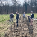 Helfer gesucht für die Pflanzung von Hecken, Obstbäumen, Kopfweidenschnitt, Anlage von Kleinstrukturen 