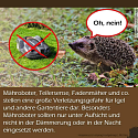 Was muss man über Igel wissen? - 13 wissenswerte Tipps und Infos rund um unsere heimischen Igel 