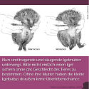 Was muss man über Igel wissen? - 13 wissenswerte Tipps und Infos rund um unsere heimischen Igel 