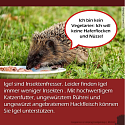 Was muss man über Igel wissen? - 13 wissenswerte Tipps und Infos rund um unsere heimischen Igel 