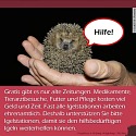 Was muss man über Igel wissen? - 13 wissenswerte Tipps und Infos rund um unsere heimischen Igel 