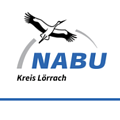 Tagfalterexkursion des NABU Lörrach am Sonntag, den 12. Juli 2026 in Herrenschwand