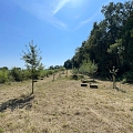 Heuballen Streuobstwiese/ Obstgarten Ranspach le Haut
